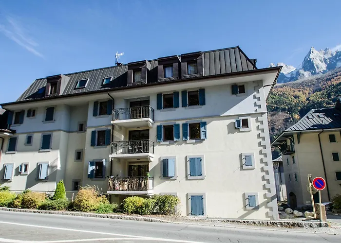 A Chamonix, Pres Des Pistes - Fr-1-343-229 Apartment *