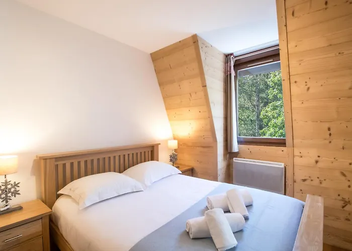 A Chamonix, Pres Des Pistes - Fr-1-343-229 Appartement *